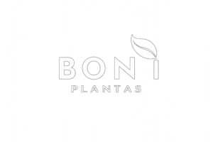 27 de fev. de 2026, 16_11_45